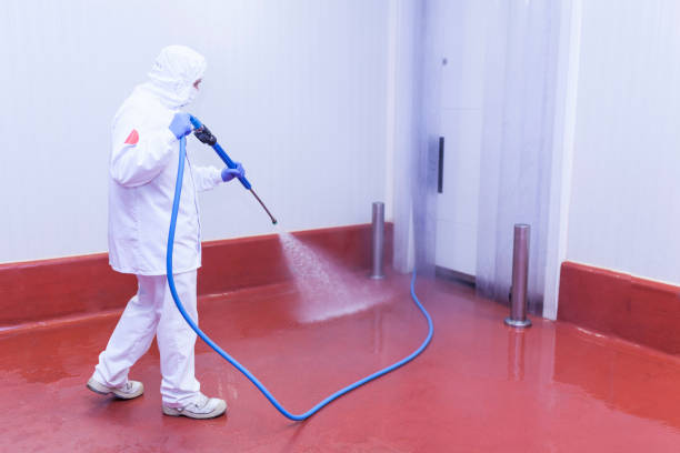 Best Concrete Sealing  in Cutlerville, MI